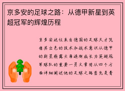 京多安的足球之路：从德甲新星到英超冠军的辉煌历程